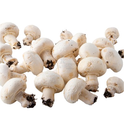 Шампиньоны свежие 500 г - купить в Калуево